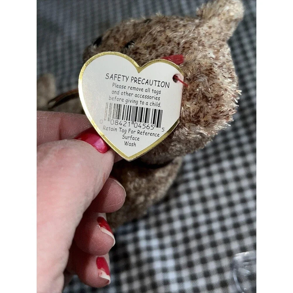 TY Beanie Baby - 2002 SIGNATURE BEAR - Retired (RARE w TAG ERROR)